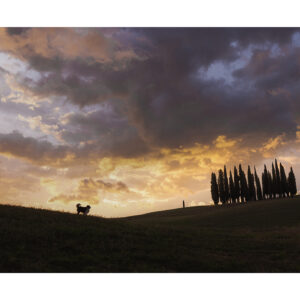 Mana à San Quirico d'Orcia