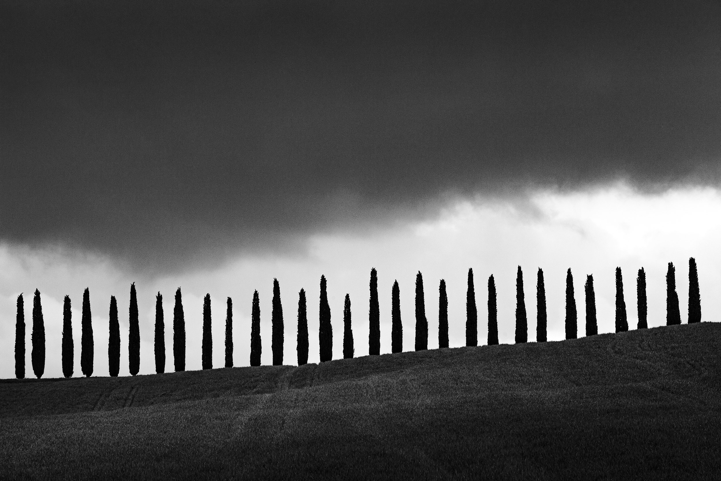 Ceux qui veillent sur la Toscane