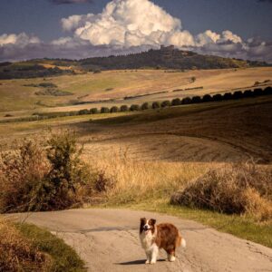 Where Mana is... Montenero d'Orcia