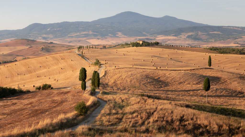 L’attribut alt de cette image est vide, son nom de fichier est Elysium-Gladiator-Where-Mana-Is-1024x576.jpg.