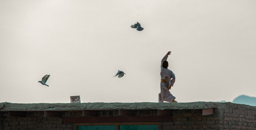 Freedom in Afghanistan