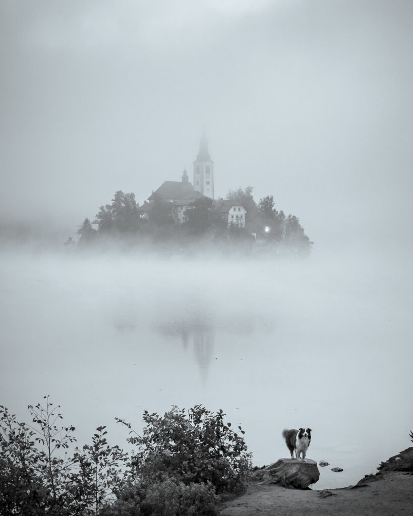 Mana's Stump Lake Bled 3 - Where Mana Is