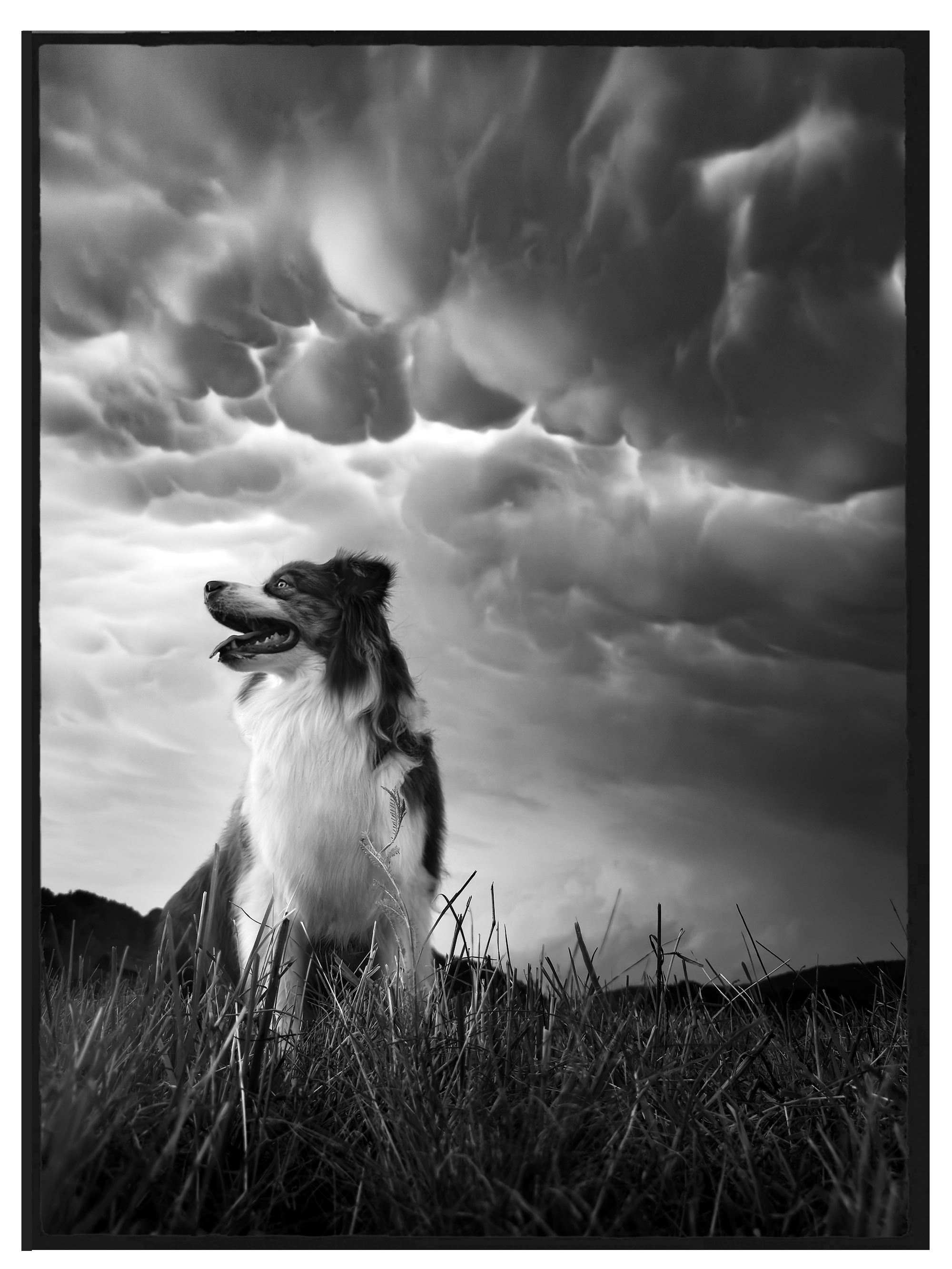 Nuages Mammatus Sébastien Joly Beautiful Mammatus clouds in black and white