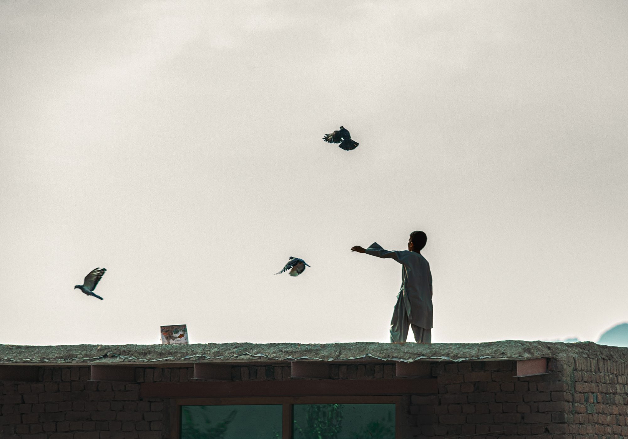 Libertà Libertà in Afghanistan