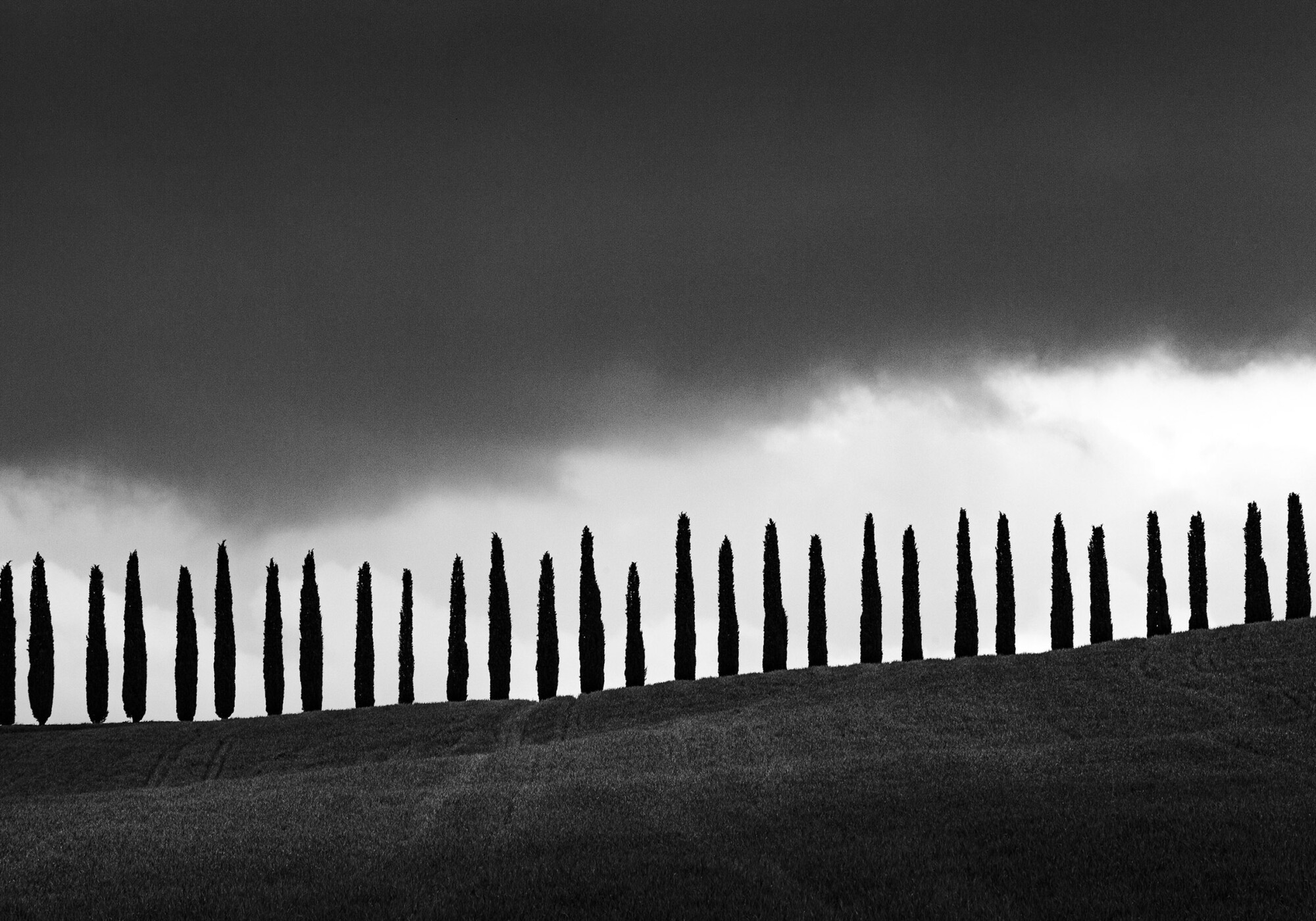 Quelli che vegliano sulla Toscana Quelli che vegliano sulla Toscana