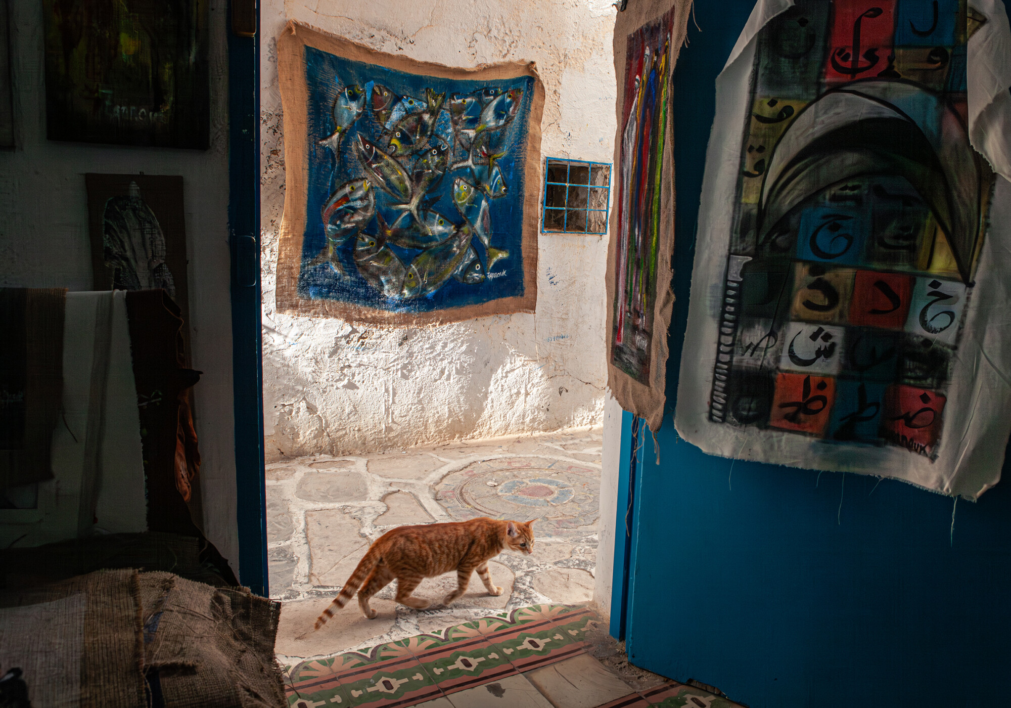 gatto in hammamet
